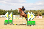 SBM_006647