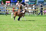 SBM_03630