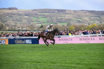 130326-Race 5-Gaelic Warrior-2619