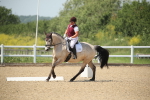 SBM_009509