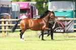 SBM_02109