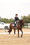 Class 14 - FEI PSG Silver - 13.56-14.40 portfolio