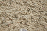 230421A-113843-01604