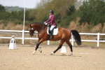 SBM_009780