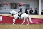 SBM_03638