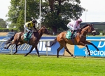 Race 4 15.40pm Graham Lee Injured Jockeys' Fund Donate Today Handicap portfolio