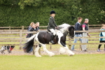 SBM_06177