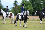 Class 2 Best Rider portfolio