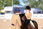 Class 301 - Ridden M&M - Small Breeds portfolio