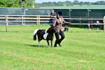 SBM_03496