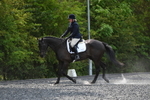 WJ5_9908