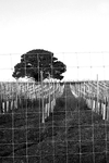 Stopham - 17