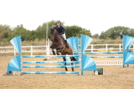 SBM_023897