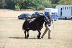 WJ6_4657