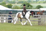 SBM_17641