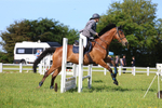 3E7A9374
