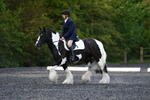 WJ5_8705