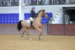 SBM_001080