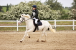 SBM_008876