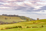 White Nancy from Rainow (3)