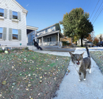 Local Gossip, Swampscott