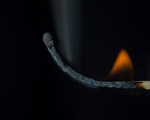 20140115-3K8A8202