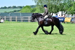 SBM_07987