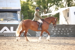 SBM_09183