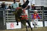 3HRodeo8-5-24_CFD_3HR-YUMA- 6018_