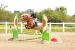 SBM_003868