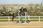 SBM_002830