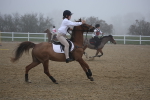 SBM_000936