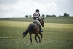 BVHT 140517  IXC -878