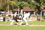 SBM_26331