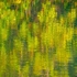 21 50P9200089