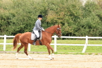 SBM_001350