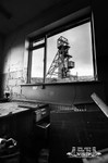 Portfolio 20