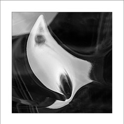 A.R.P.S. images portfolio
