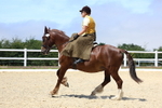 3E7A0956
