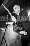 Wilko Johnson Farewell Tour-44