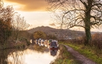 Between Bridges 25 and 26, Macclesfield Canal (4)
