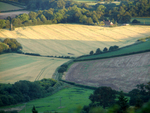 Leith Hill - 14