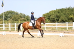 SBM_010494