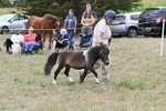 WJ6_5682
