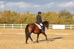 SBM_002803