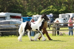SBM_04158