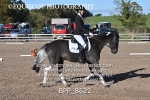 BPP_8622
