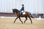 SBM_003381
