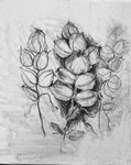 Bogland Matter 26, 16cm x 20cm