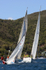 Neko - DSC_0191